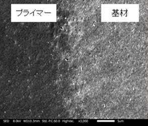回路上部再拡大 x10,000
