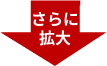 拡大SEM写真