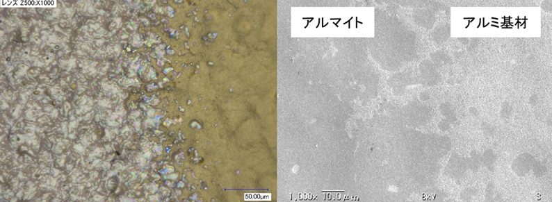 アルミとアルマイト界面 x1,000(左光学、右SEM)