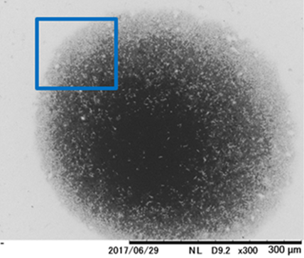 アルマイト中間部拡大 x3,000