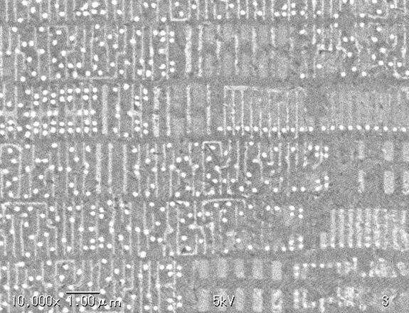 回路上部再拡大 x10,000