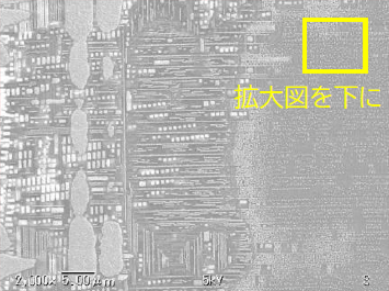 回路直部拡大